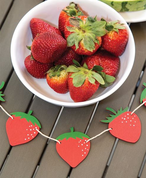 Picture of Wooden Strawberry Mini Garland