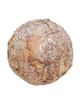 Picture of Sparkle Birch Ball Ornament, 4"