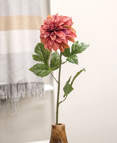 Picture of Mauve Dahlia Stem, 24"