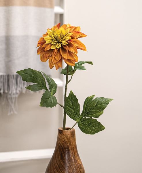 Picture of Golden Dahlia Stem, 24"