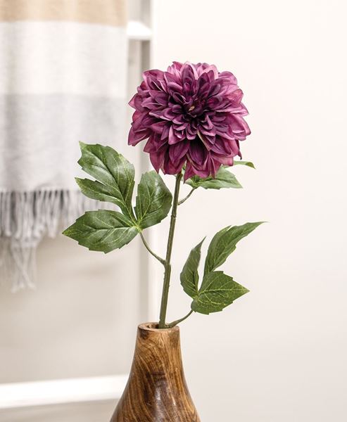 Picture of Plum Dahlia Stem, 24"