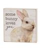 Picture of Bunny Love Square Block, 3 Asstd.