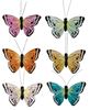 Picture of Multi-Colored Butterfly Clips, 6/Set