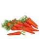 Picture of Decorative Foam Carrots in Mesh Bag, 20/Set