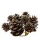 Picture of Champagne Frosted Pinecones Candle Ring, 1"