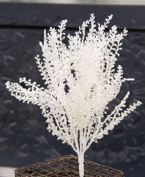 Picture of White Icy Wonderland Astilbe Bush, 14.5"H