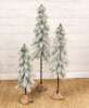 Picture of Snowy Bristle Pine & Boughs Tree w/Burlap Base, 34"