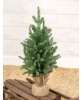 Picture of Soft Touch Alpine Tree w/Burlap Base - 2 Ft.